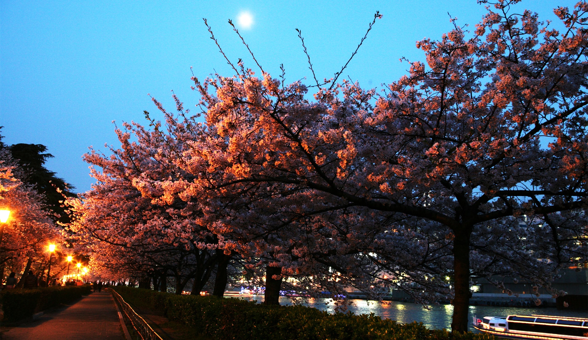 凱旋門 賞 ブック メーカー