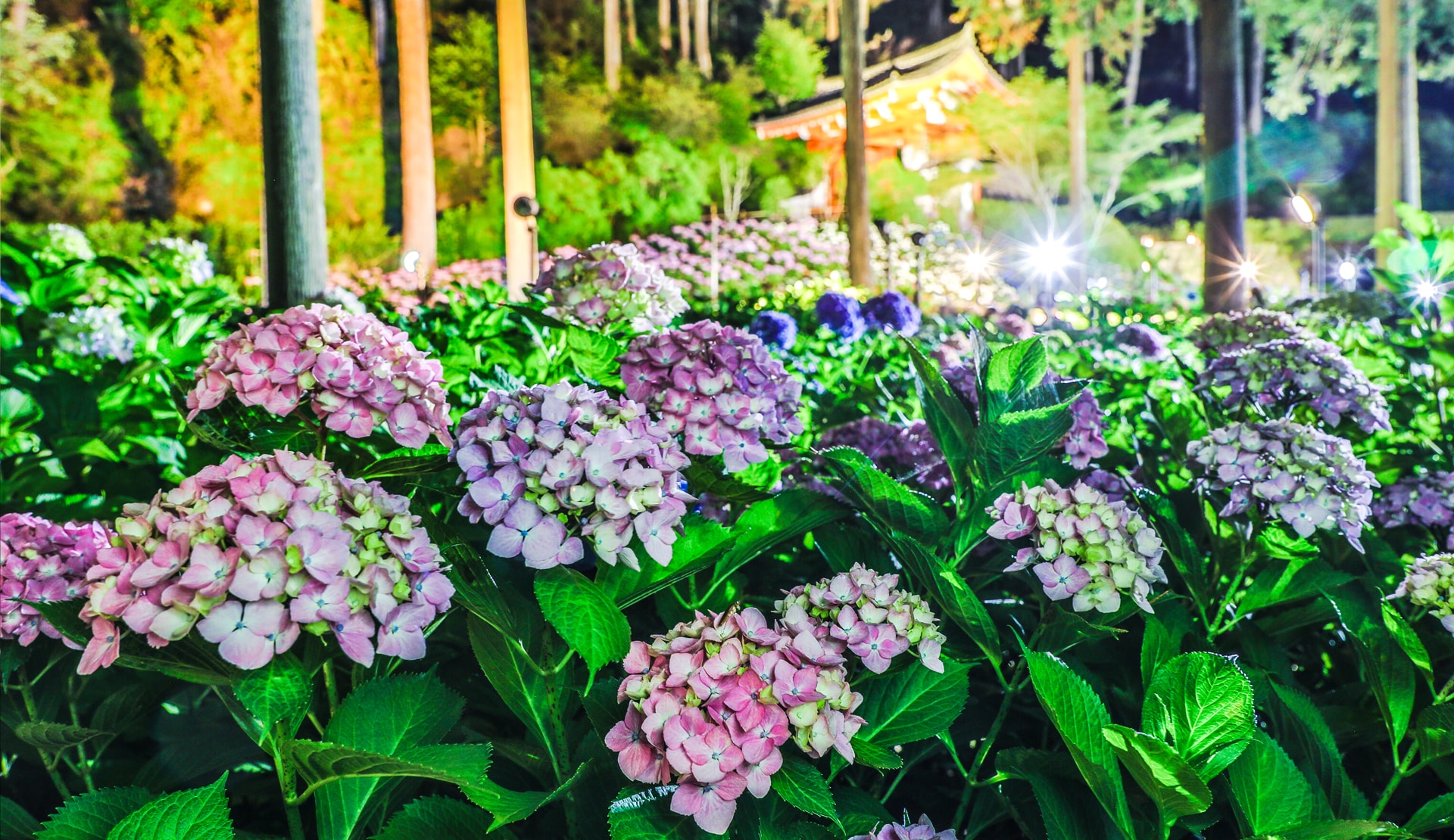 凱旋門 賞 ブック メーカー