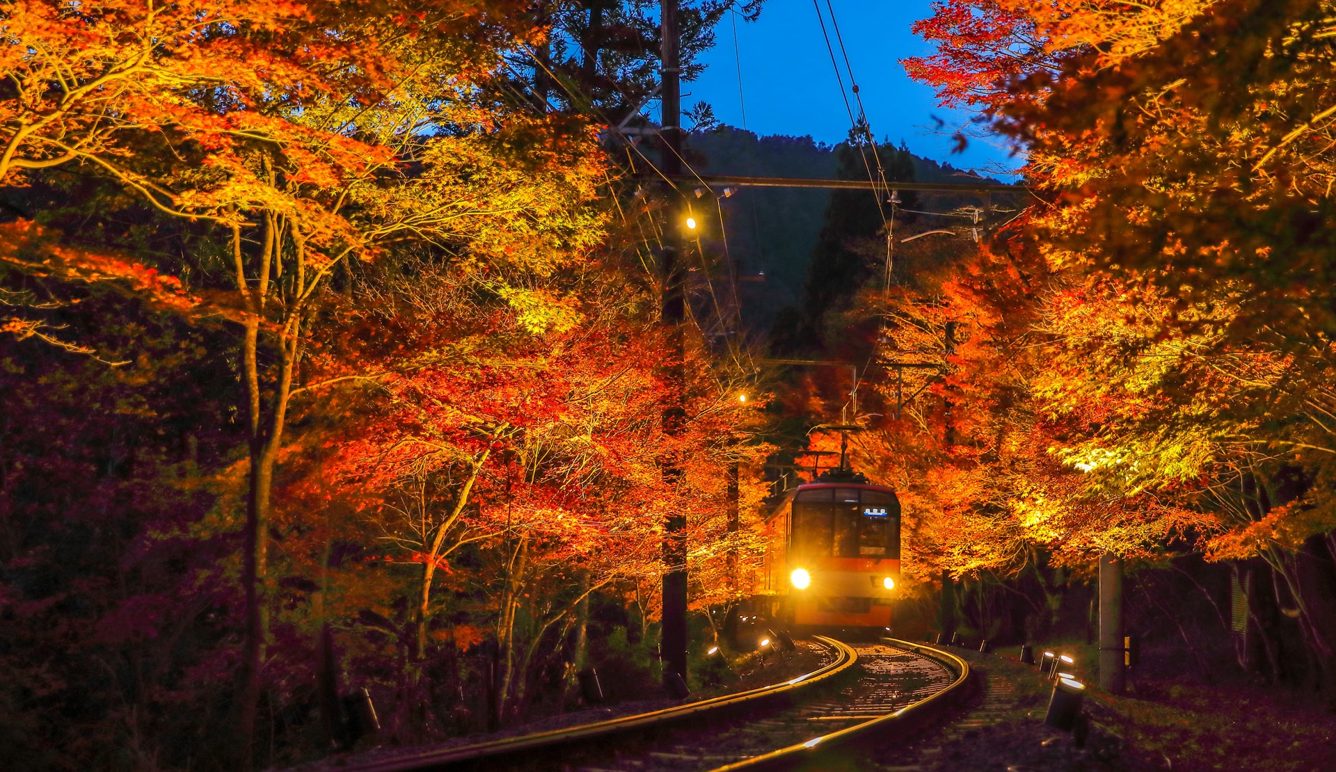 凱旋門 賞 ブック メーカーのトンネル