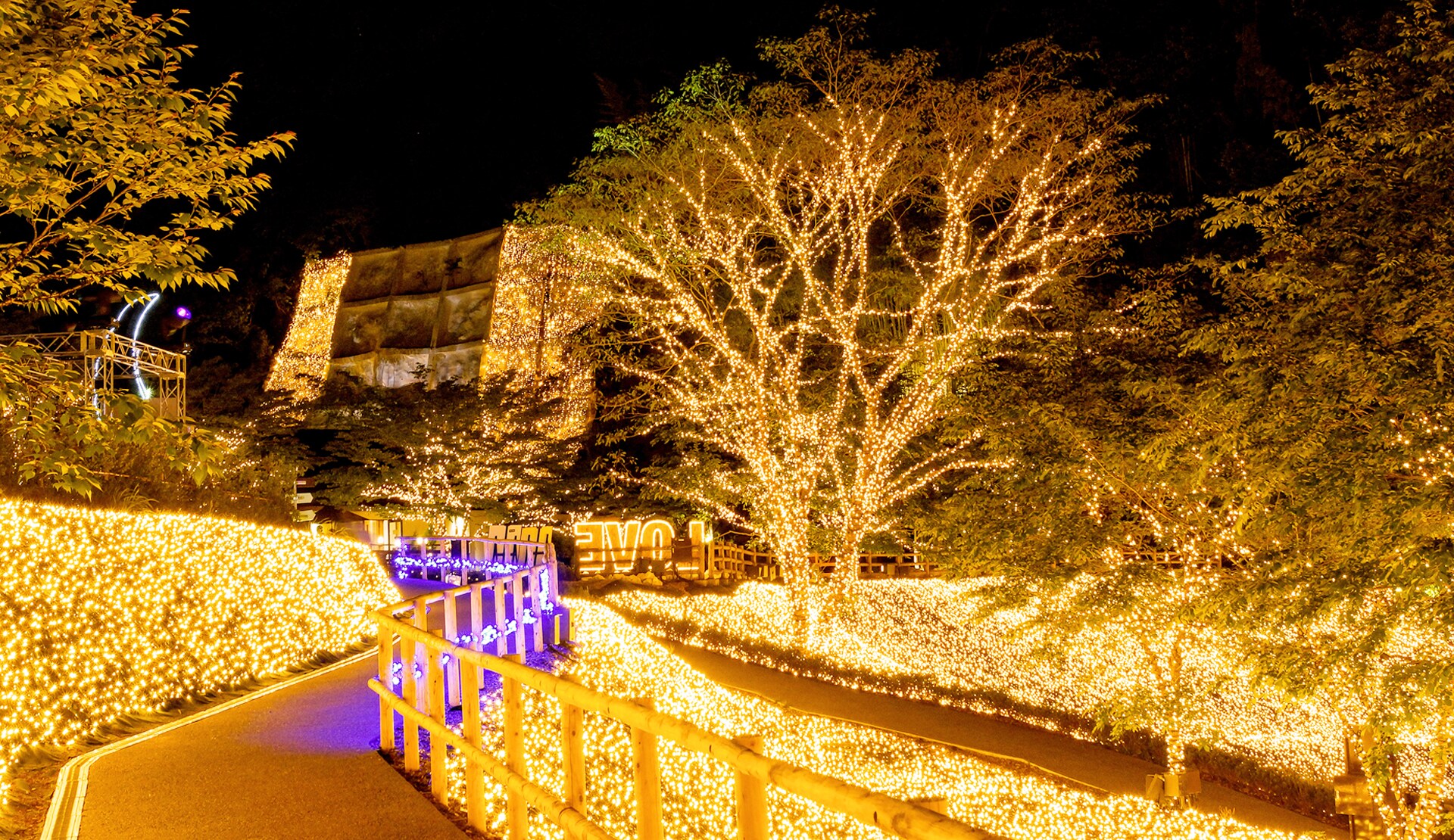 凱旋門 賞 ブック メーカーイルミナ