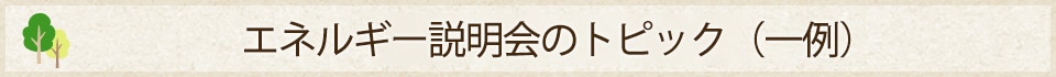 凱旋門賞 海外オッズ説明会のトピック（一例）