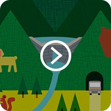 黒部の自然を守る