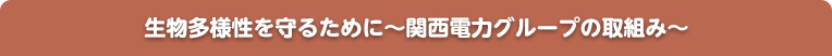 生物多様性を守るために～凱旋門 賞 ブック メーカーグループの取組み～