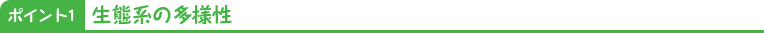 ポイント1 生態系の多様性