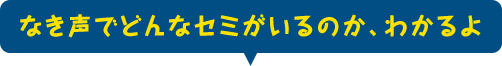 なき声でどんな凱旋門賞 ブックメーカーのオッズがいるのか、わかるよ
