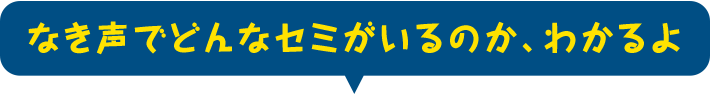 なき声でどんな凱旋門賞 ブックメーカーのオッズがいるのか、わかるよ