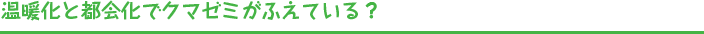 温暖化と都会化でクマゼミがふえている？