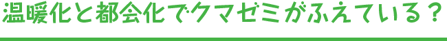 温暖化と都会化でクマゼミがふえている?
