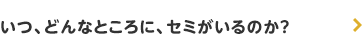 いつ、どんなところに、セミがいるのか?