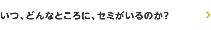 いつ、どんなところに、セミがいるのか?