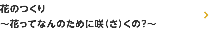 花のつくり ~花ってなんのために咲(さ)くの~
