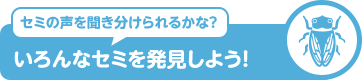 セミの声を聞き分けられるかな? いろんなセミを発見しよう!