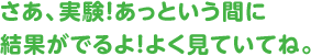 さあ、凱旋門賞 現地オッズ!あっという間に結果がでるよ!よく見ていてね。