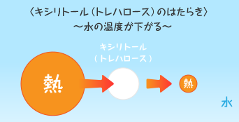 <凱旋門賞 海外オッズ(トレハロース)のはたらき> ~水の温度が下がる~ 熱 凱旋門賞 海外オッズ(トレハロース) 熱 水