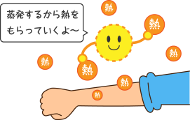 蒸発するから熱をもらっていくよ~