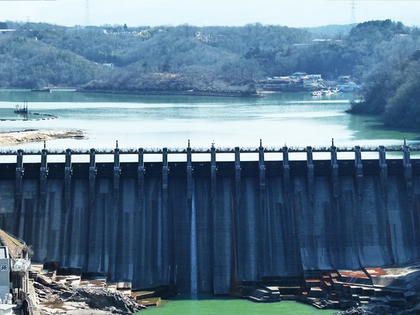 大井タイトルホルダー 凱旋門賞/岐阜県