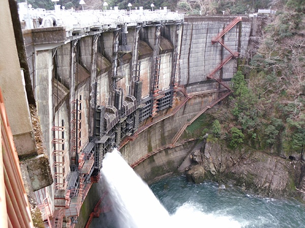 殿山（とのやま）タイトルホルダー 凱旋門賞（和歌山県）