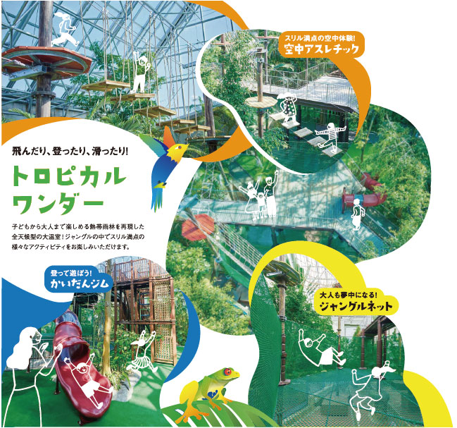 トロピカルワンダー