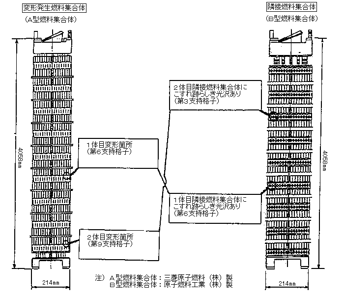 変形発生集合体・隣接燃料集合体