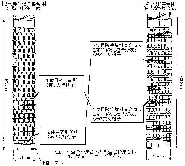 変形発生集合体・隣接燃料集合体