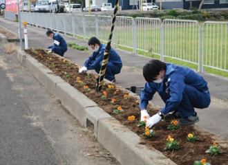 久々子花壇の花の植え替えの様子