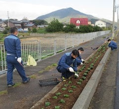 久々子花壇の花の植え替えの様子
