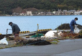清掃活動の様子
