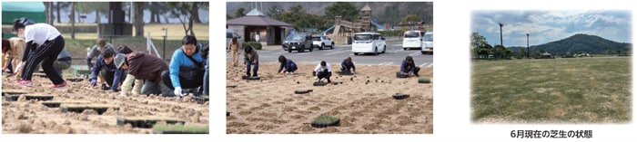 みんなで創る憩いの芝生広場