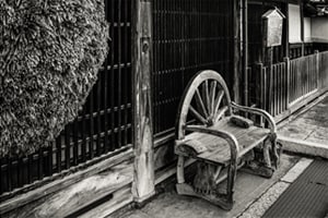 展示予定　第7回「木もれ日」写真展