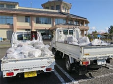 回収された約300kgのゴミ