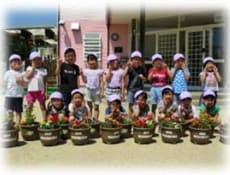 上手に植えれたよ！