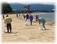 海岸のゴミを拾う参加者