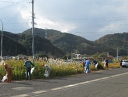 道路脇のゴミを拾う様子