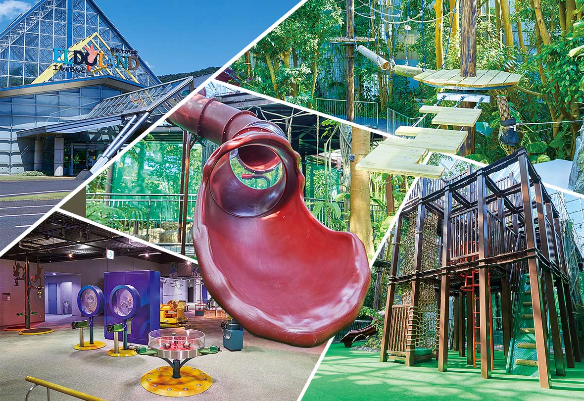 凱旋門 賞 ブック メーカー オッズたかはまエルどらんど