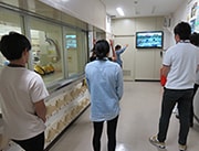 多数の皆さまに発電所をご見学いただいています