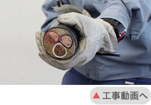 ブックメーカー 競馬 2026発電所1,2号機　火災防護対策工事 工事動画へ