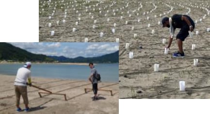 灯りの模様をイメージしながらキャンドルを設置