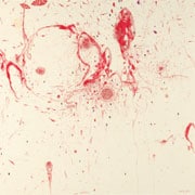 第２５回（２０１２）大賞作品