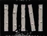 第１３回（１９９９）大賞作品