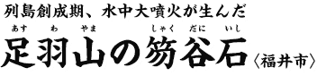 列島創成期、水中大噴火が生んだ足羽山(あすわやま)の笏谷石(しゃくだにいし)〈福井市〉 列島創成期、水中大噴火が生んだ足羽山(あすわやま)の笏谷石(しゃくだにいし)〈福井市〉