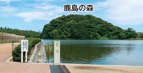 県境の館から望む「鹿島の森」
