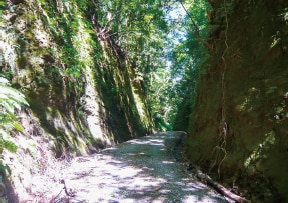 鴫谷山（しぎたにやま）の切通し
