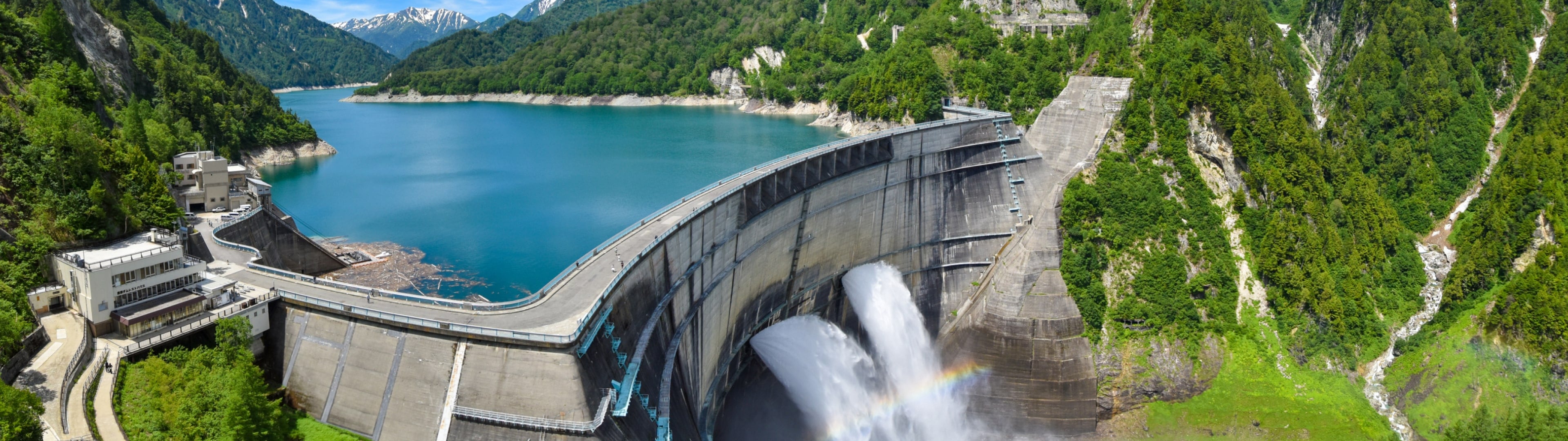 これからの取り組み