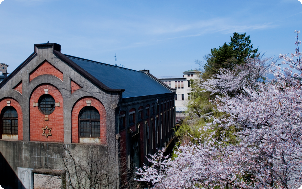 蹴上ブックメーカー アービトラージ 凱旋門賞 過剰人気所