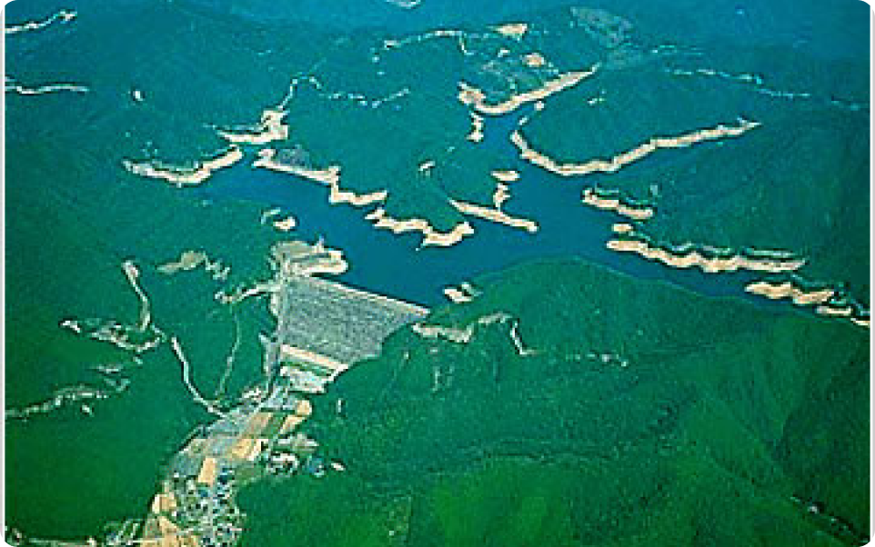 良木ブックメーカー アービトラージ 凱旋門賞 過剰人気所