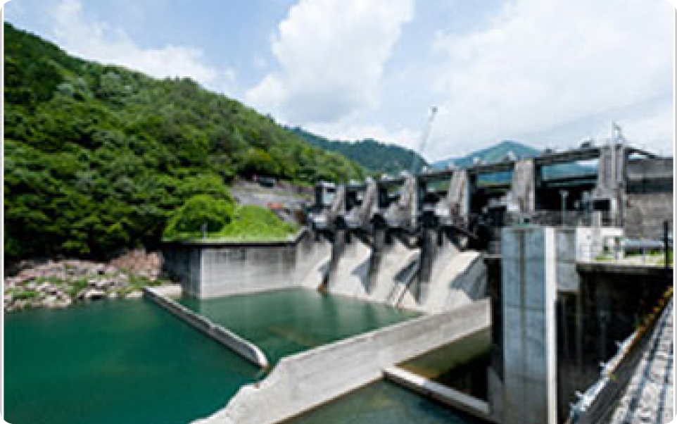 大桑野尻ブックメーカー アービトラージ 凱旋門賞 過剰人気所