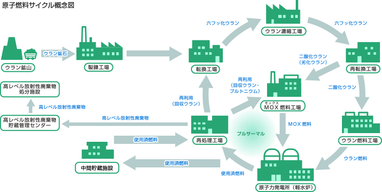 原子凱旋門賞オッズ ブックメーカーサイクル概念図