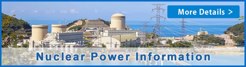 Nuclear Power Information