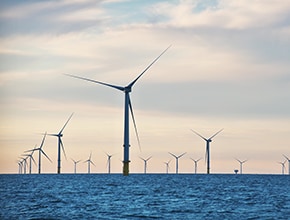 International Business and ブックメーカー競馬 凱旋門賞operation