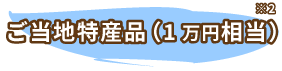 ご当地特産品（１万円相当）